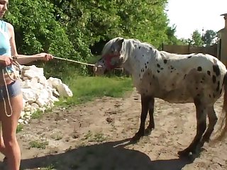 Mulher Transando Com Animais Zoofilia