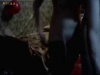 Porno Zoofilia Brutal