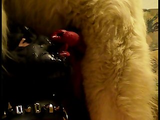 Extreme Pick Ups Porn