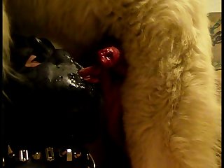 Extreme Pick Ups Porn