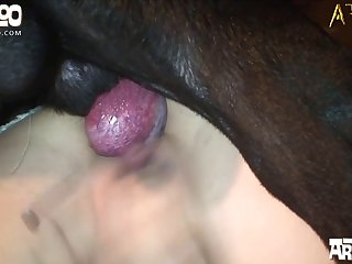 Extreme Hardcore Porn Telegram