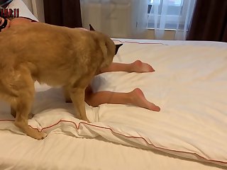 Extreme Sloppy Seconds Porn