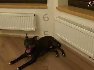 Girl Sex With Animals