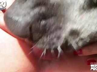 Fuck Dog Video
