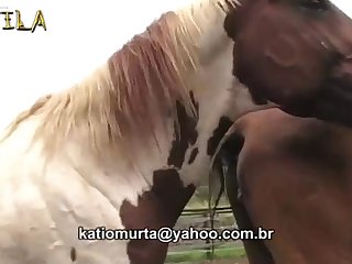 Hors Xnx - best horses porn videos page 1 at cataphractarii.com