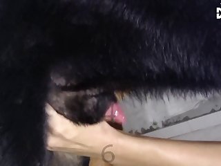 Girl Gets Forced To Fuck Dog