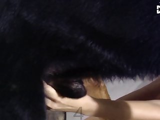 Girl Gets Forced To Fuck Dog