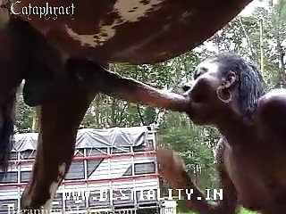 Swinger Dog Porn