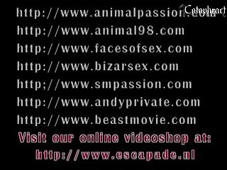 Relatos De Zoofilia Hombres Con Perras