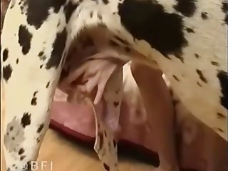 Porno Zoofilia Macaco