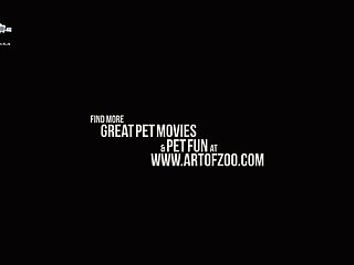 Step Dad Punishes Daughter Xxx Porn