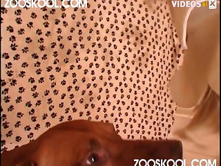 Xxx Sexy Sex Porn Videos