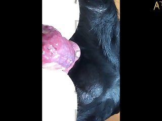 Japonesas Violadas Xxx Porn