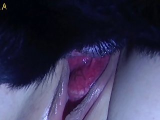 Xxx Porn Videoe All Types