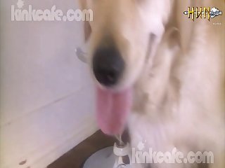 Latino Women Xxx Rough Porn