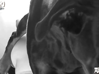 David Marshall Xxx Porn