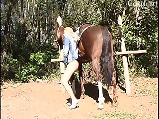 Man And Dog Zoo Porn