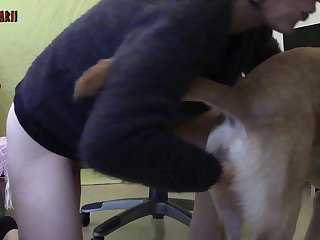 Cat In Heat Zoo Porn