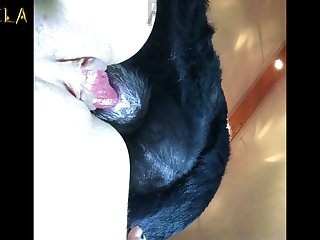 Boar Corps Project Zoo Porn