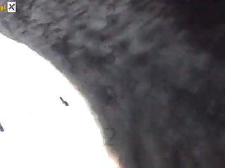 Veronica Silesto Zoo Porn