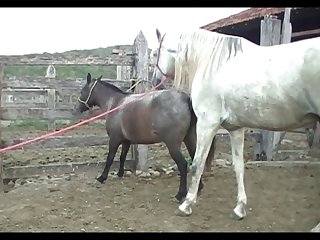 Lupe Scene 3