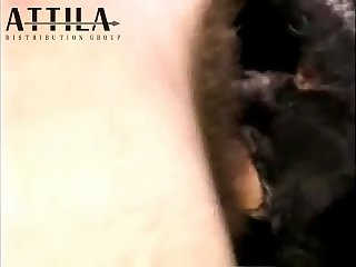 70002 Female Black Lab Fucked