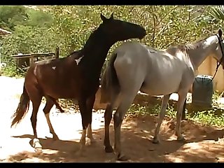 Vt07022016a Shadow Vs Lua Sc 03