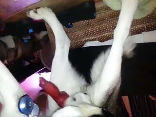 Milking Her Dog