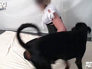 Borzoi Dog Porn