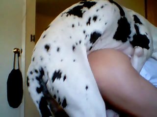 Famale Dog Porn