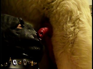 Act Like A Dog Porn