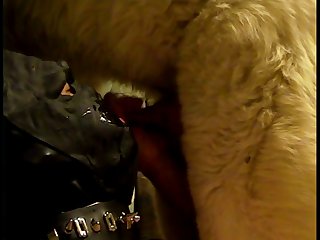 Act Like A Dog Porn