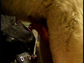 Act Like A Dog Porn