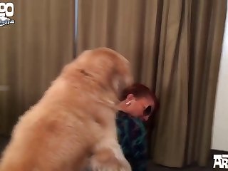 Amateur Dog Porn Videos