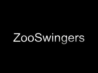 Is The Art Of Zoo Illegal