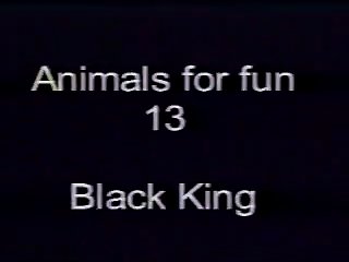 Bna Brand New Animal Sex