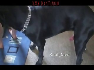Sex Girl And Dog Porn
