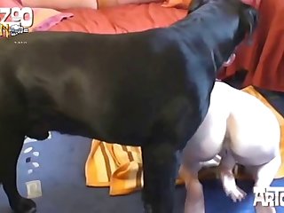 My Life As A Dog Porn