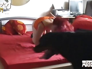 My Life As A Dog Porn