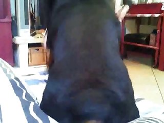 Art Of Zoo Nude Gif