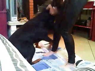 Art Of Zoo Nude Gif