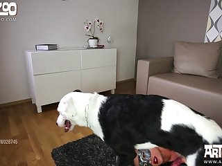 Big Black Dog Xxx