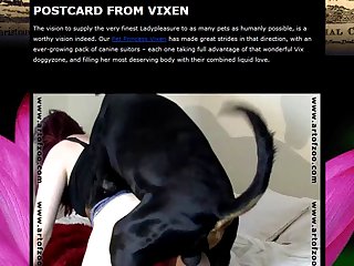 Art Of Zoo Forced