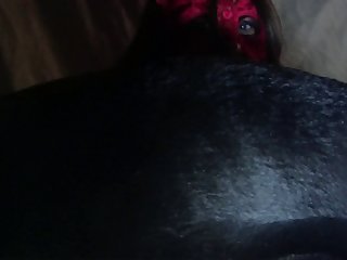 Zoophilie Free Xxxo