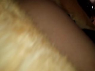 Guy Creampie Horse Porn