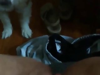Comendo Uma Cabra