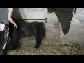 Gaping Anal For Animal Porn with Teen