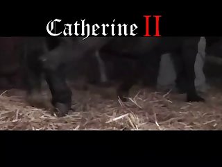 Crazy Outdoor Group Sex Of Animal Porn with Amateurs