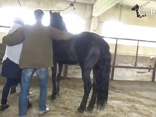 Animal Porn with Teen Analized After