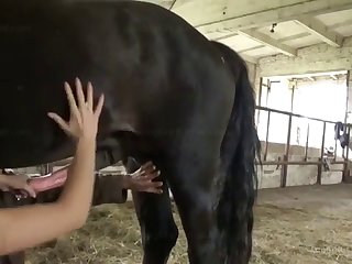 Ass Traffic Lindsey Olsen Ass To Mouth Cum Swallowing Animal Porn with